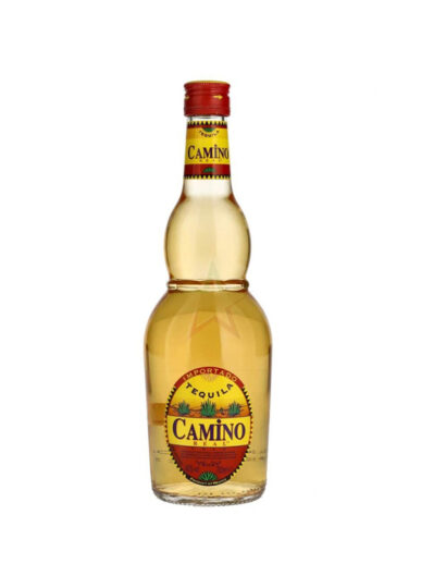 CAMINO REAL GOLD