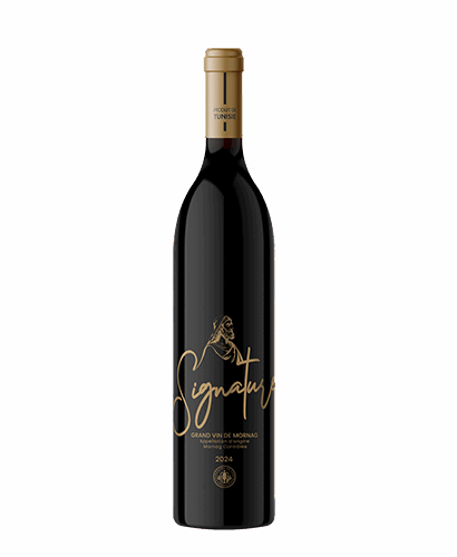 MAGON SIGNATURE ROUGE 75CL